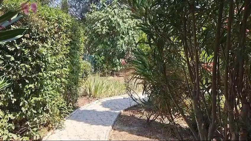 Magnifique Villa Avec Piscine Cadenet